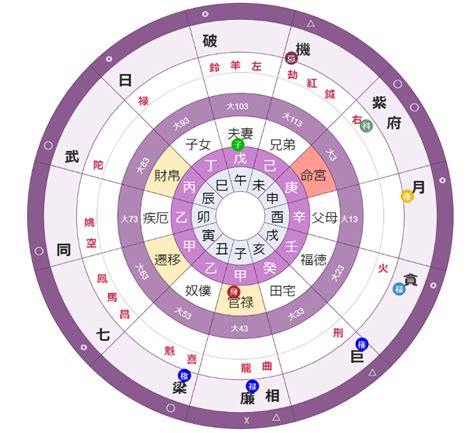 星運 絕|專欄:紫微斗數